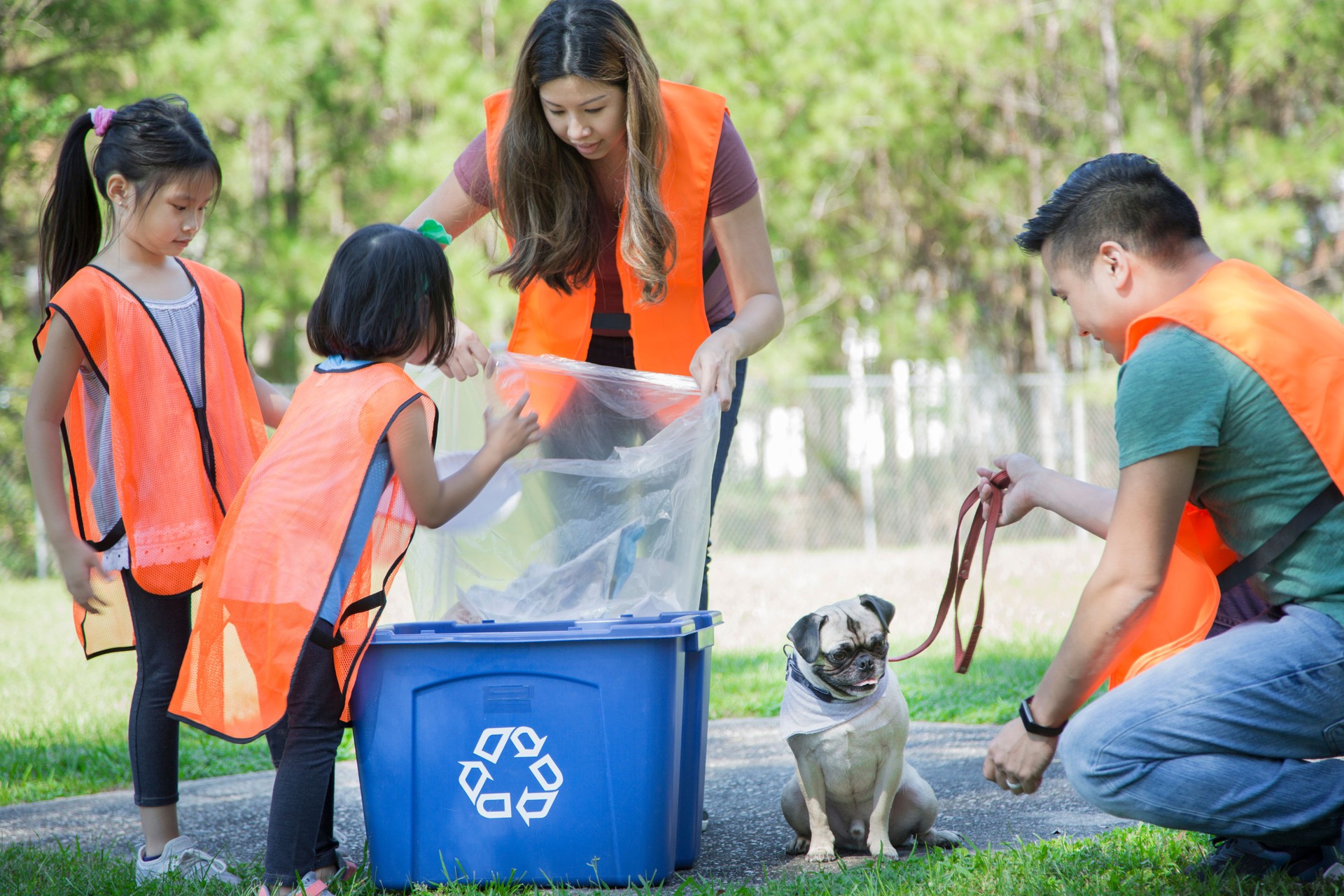 Family wearing safety vest are picking up trash in their neighborhood park.  Their pet Pug dog came along to help.